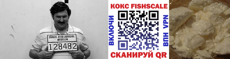 КОКАИН FishScale  Купить закладки  Инсар 