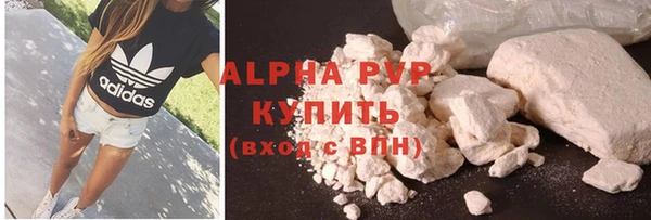 прущие грибы Заволжск