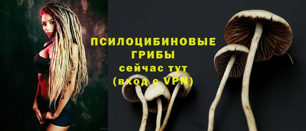 MESCALINE Заводоуковск