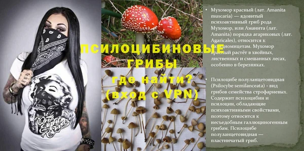 тгк Осташков