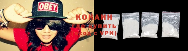 прущие грибы Заволжск