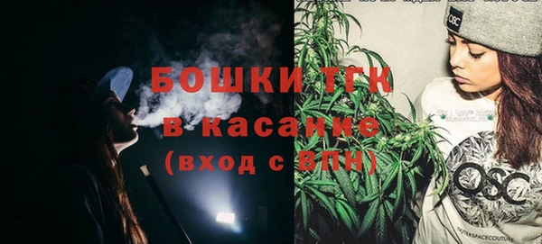 прущие грибы Заволжск