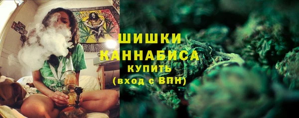 прущие грибы Заволжск