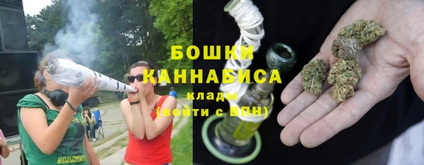 прущие грибы Заволжск