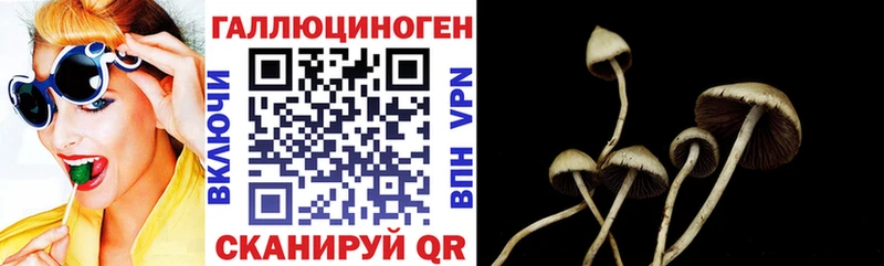Купить где  Инсар  Галлюциногенные грибы MAGIC MUSHROOMS 